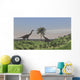 Two Large Brachiosaurus Grazing Wall Decal Design 4