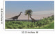 Two Large Brachiosaurus Grazing Wall Decal Design 4