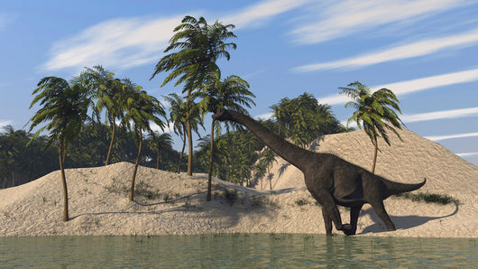 Large Brachiosaurus Walking along Wall Decal Design 2