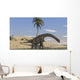 Large Brachiosaurus Walking along Wall Decal Design 1