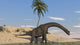 Large Brachiosaurus Walking along Wall Decal Design 1