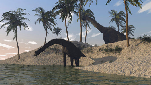 Two Large Brachiosaurus Grazing Wall Decal Design 3