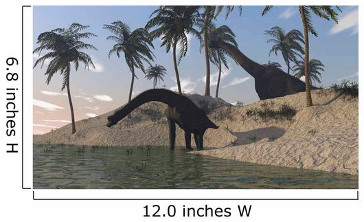 Two Large Brachiosaurus Grazing Wall Decal Design 3