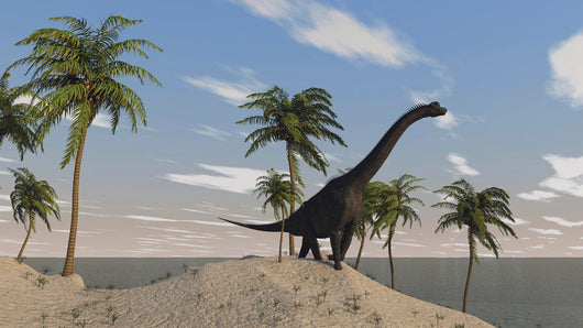 Large Brachiosaurus Roaming Tropical Wall Decal Design 2