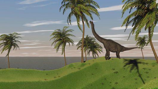 Large Brachiosaurus Grazing Wall Decal Design 5