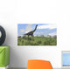 Large Brachiosaurus Grazing Open Wall Decal
