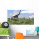 Large Brachiosaurus Grazing Open Wall Decal