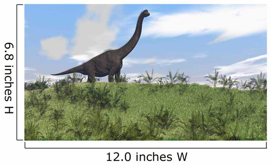 Large Brachiosaurus Grazing Open Wall Decal
