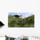 Dicraeosaurus Walking across Open Wall Decal Design 4