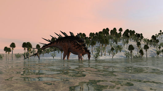 Kentrosaurus Drinking from Prehistoric Wall Decal