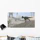 Monolophosaurus Running across Desert Wall Decal