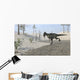 Monolophosaurus Running across Desert Wall Decal