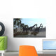 Three Brachiosaurus Dinosaurs Grazing Wall Decal Design 3