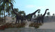 Three Brachiosaurus Dinosaurs Grazing Wall Decal Design 3