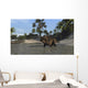 Brown Einiosaurus Shallow Water Wall Decal