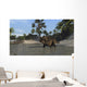 Brown Einiosaurus Shallow Water Wall Decal