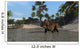 Brown Einiosaurus Shallow Water Wall Decal
