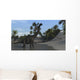 Large Brachiosaurus Shallow Water Wall Decal