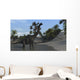 Large Brachiosaurus Shallow Water Wall Decal