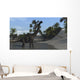 Large Brachiosaurus Shallow Water Wall Decal