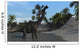 Large Brachiosaurus Shallow Water Wall Decal