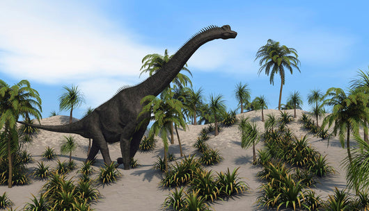 Large Brachiosaurus Tropical Environment Wall Decal Design 4