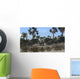 Three Brachiosaurus Dinosaurs Grazing Wall Decal Design 1