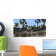 Three Brachiosaurus Dinosaurs Grazing Wall Decal Design 1