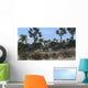 Three Brachiosaurus Dinosaurs Grazing Wall Decal Design 1