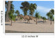 Ceratosaurus Running across Tropical Wall Decal Design 2