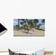 Ceratosaurus Running across Tropical Wall Decal Design 1
