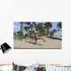 Ceratosaurus Running across Tropical Wall Decal Design 1