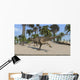 Ceratosaurus Running across Tropical Wall Decal Design 1