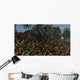 Triceratops Grazing Lush Foliage Wall Decal