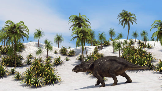 Triceratops Tropical Setting Wall Decal