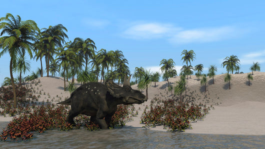 Triceratops Walking along Shoreline Wall Decal Design 3