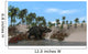 Triceratops Walking along Shoreline Wall Decal Design 3