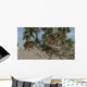 Two Kentrosaurus Dinosaurs Walking Wall Decal Design 4