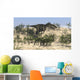 Dilophosaurus Running across Desert Wall Decal