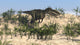 Dilophosaurus Running across Desert Wall Decal