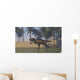 Tyrannosaurus Rex Hunting Shallow Wall Decal Design 2