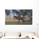 Tyrannosaurus Rex Hunting Shallow Wall Decal Design 2