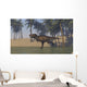 Tyrannosaurus Rex Hunting Shallow Wall Decal Design 2