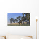 Two Large Brachiosaurus Grazing Wall Decal Design 2