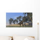 Two Large Brachiosaurus Grazing Wall Decal Design 2