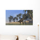 Two Large Brachiosaurus Grazing Wall Decal Design 2