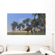 Two Large Brachiosaurus Grazing Wall Decal Design 2