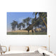 Two Large Brachiosaurus Grazing Wall Decal Design 2