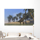 Two Large Brachiosaurus Grazing Wall Decal Design 2