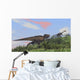 Tyrannosaurus Rex Hunting Gigantoraptor Wall Decal
